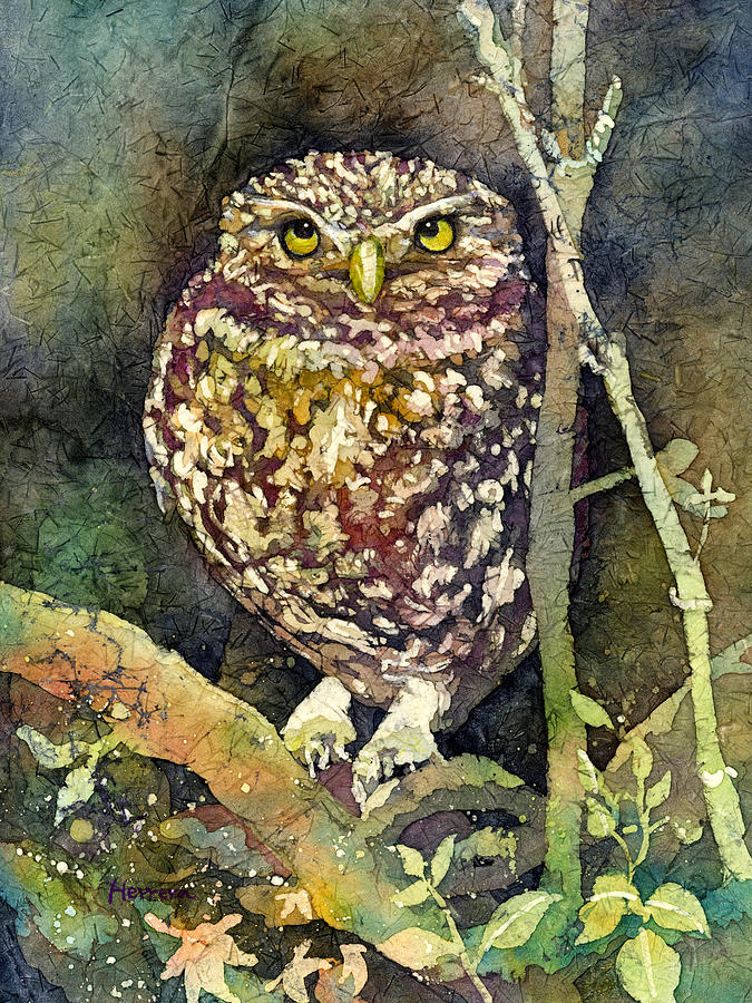 675x900 Little Owl Painting By Hailey E Herrera - The Little Owl Painting