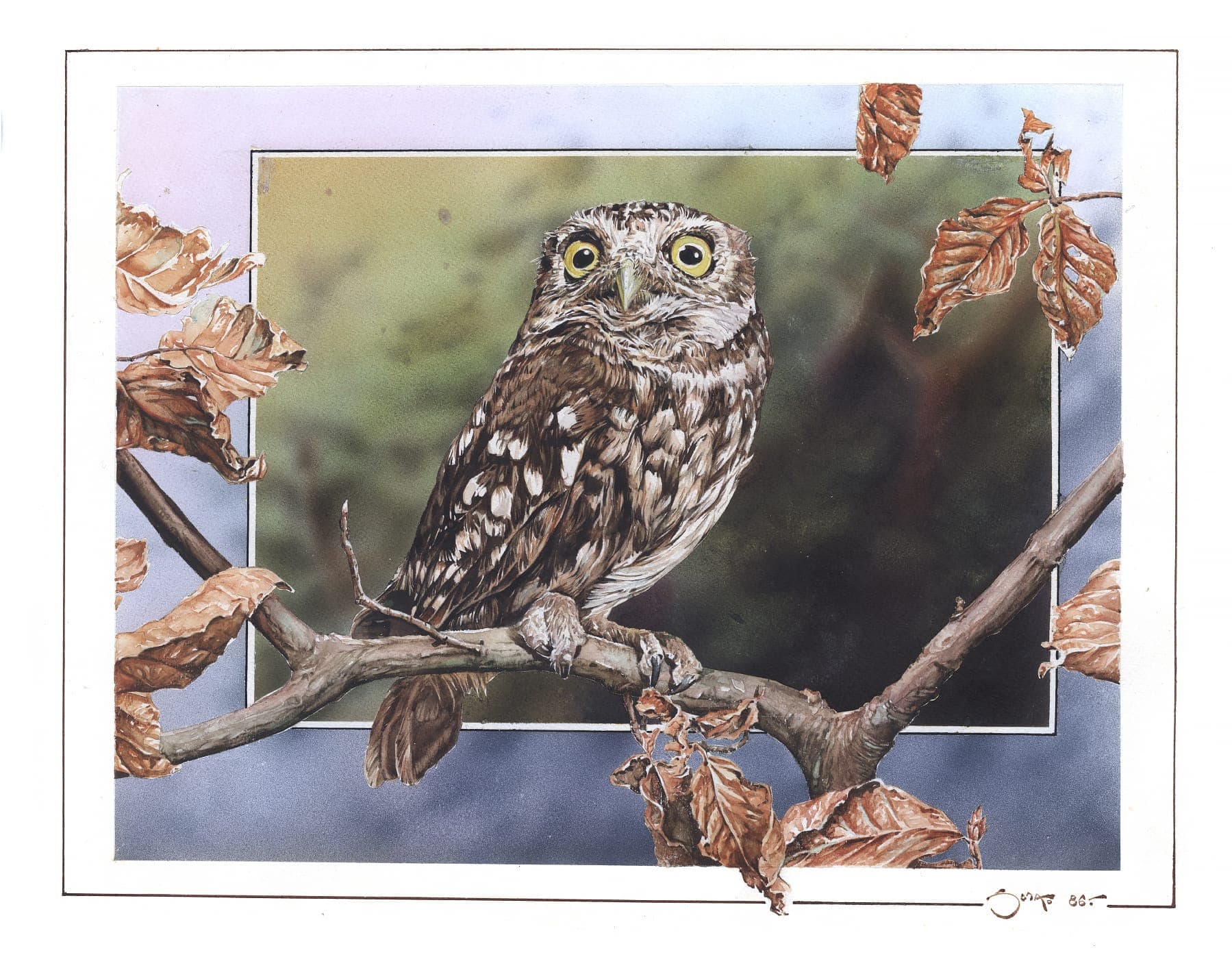 1799x1397 Little Owl - The Little Owl Painting