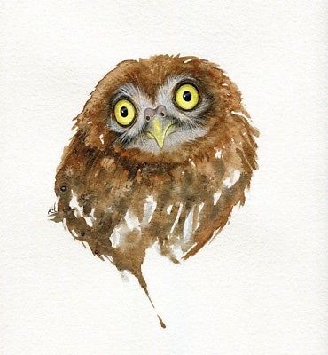370x400 Original Watercolour Little Owl Bird Prey Painting By Emma Hogan - The Little Owl Painting