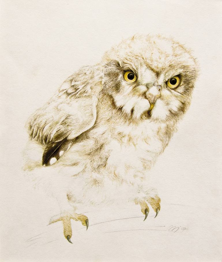 770x908 Saatchi Art Little Owl Painting By Nemes - The Little Owl Painting