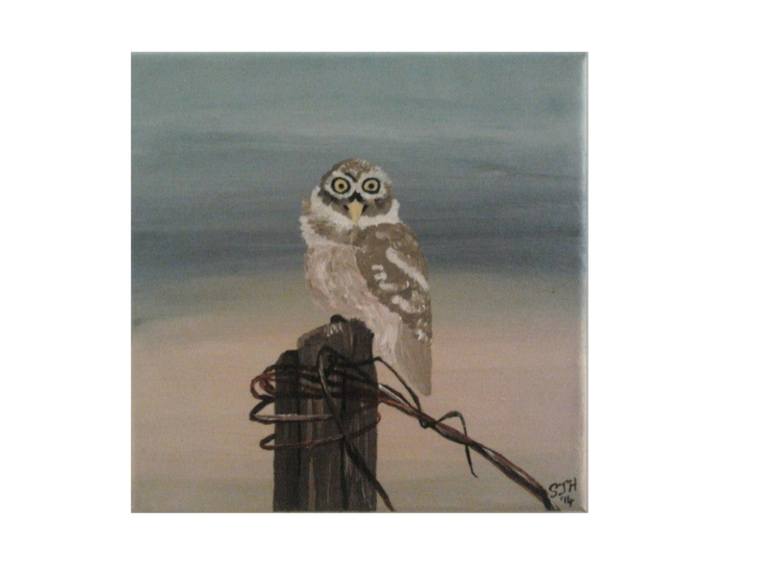 770x578 Saatchi Art Little Owl Painting By Stephanie Jane - The Little Owl Painting