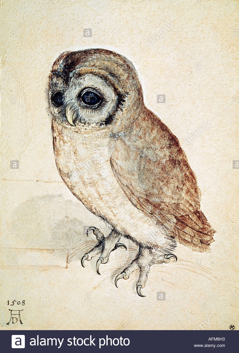 943x1390 Fine Arts - The Little Owl Painting