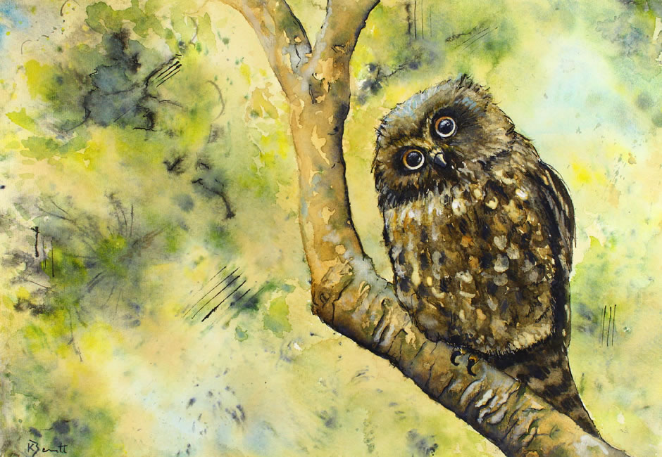 940x650 Little Owl (Print) Kerry Bennett - The Little Owl Painting