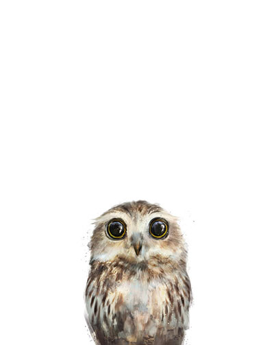400x503 Little Owl - The Little Owl Painting