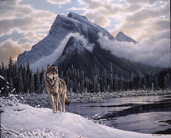 600x484 Lone Wolf Mount Rundle Canada. Painting By Eric Wilson - The Lone Wolf Painting
