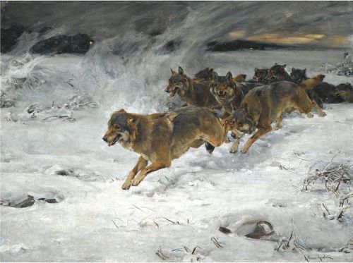500x373 Alfred Von Wierusz Kowalski Tumblr - The Lone Wolf Painting Alfred Kowalski