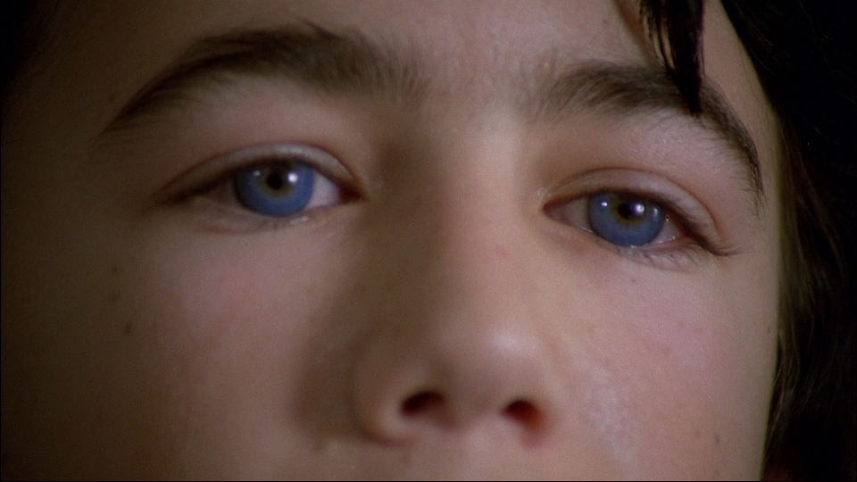 960x540 The Boys From Brazil Blu Ray - The Lonely Maiden Painting