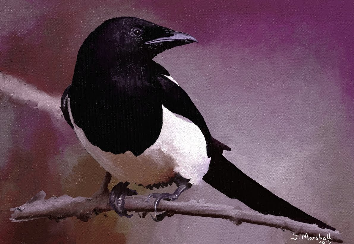 1191x822 Magpie ~ Artrage Speed Painting - The Magpie Painting