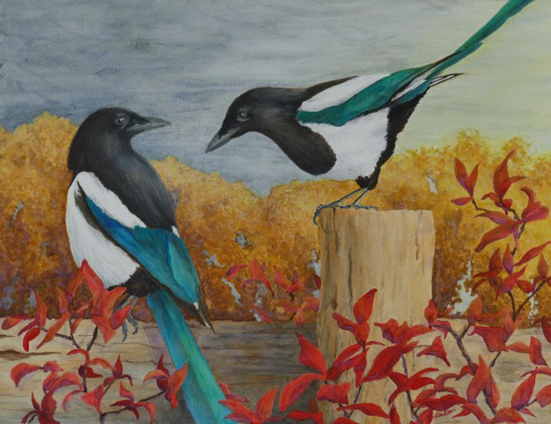 800x615 Talkin' - The Magpie Painting