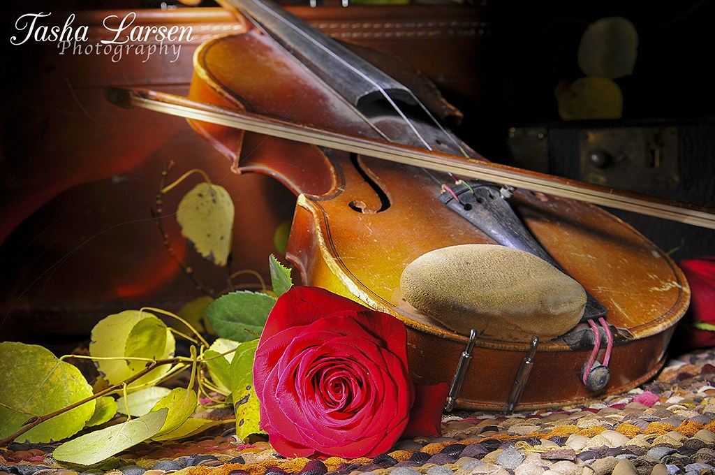 1024x680 The Old Violin Communication Portfolio - The Old Violin Painting