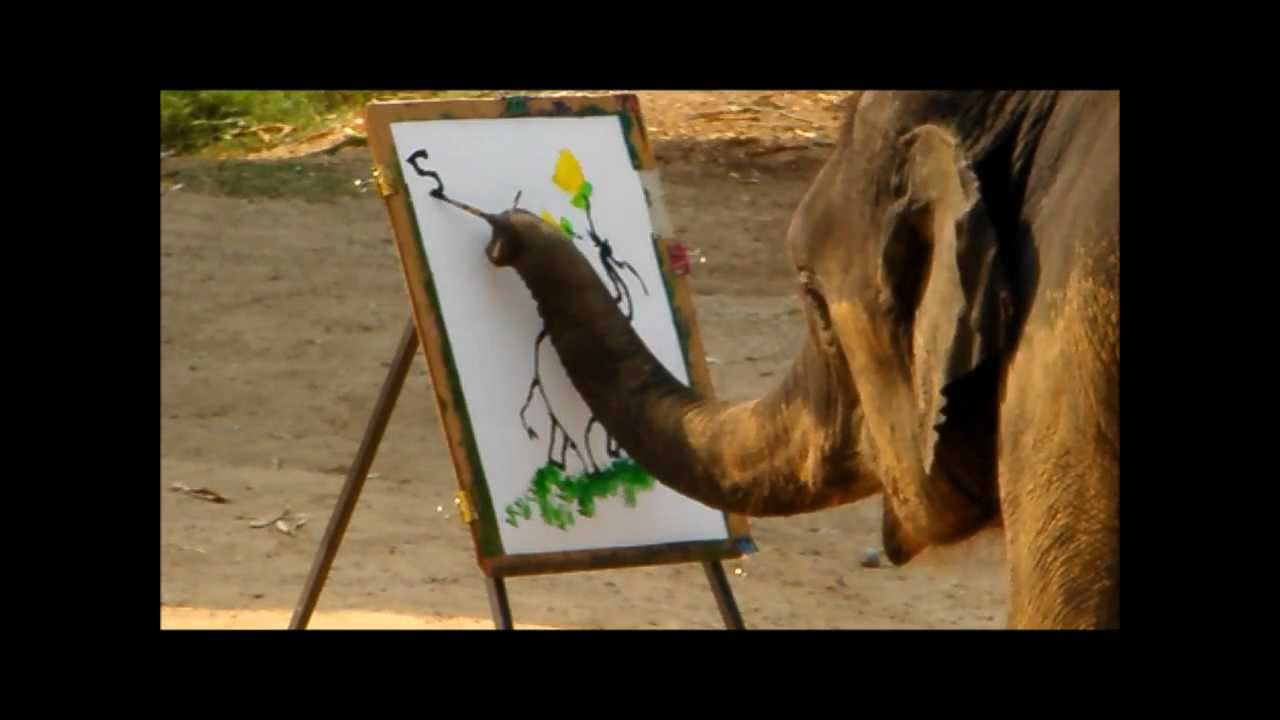 1280x720 Elephants Painting Elephants - The Painting Elephant