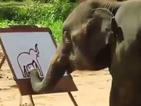 480x360 Suda The Elephant Painting - The Painting Elephant