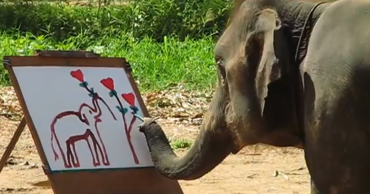 1200x630 Video Watch Amazing Elephant Paint Portrait Of Herself - The Painting Elephant