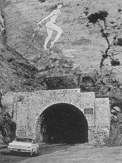 239x319 Pink Lady Artist - The Pink Lady Painting