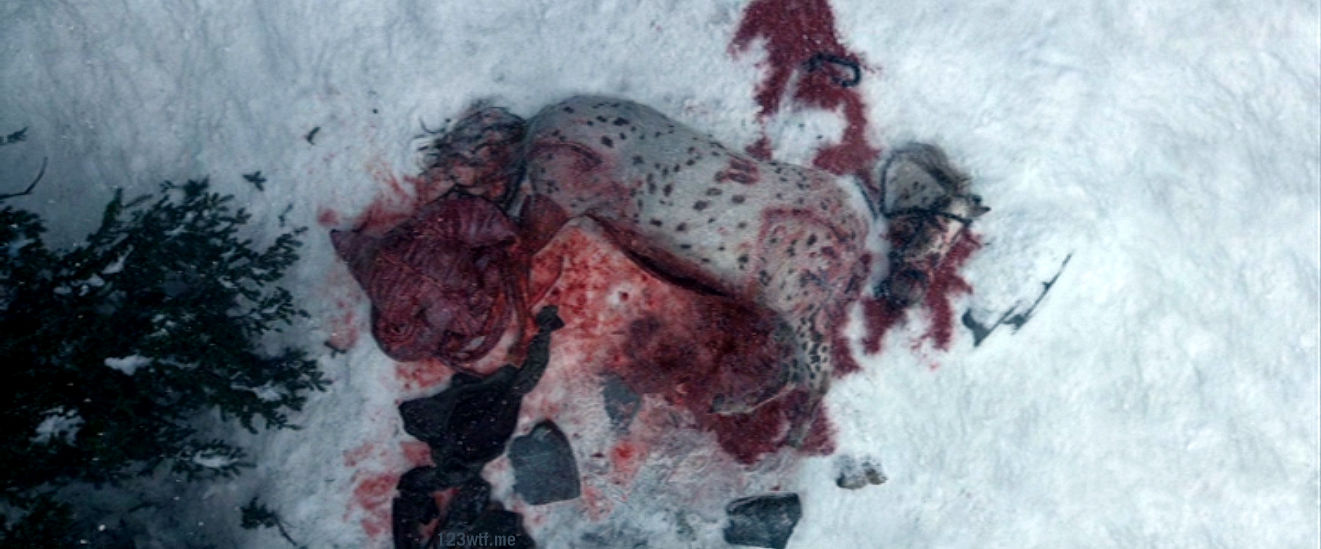 1919x798 Wtf The Revenant (2015) 1,2,3 Wtf! (Watch The Film) - The Revenant Painting