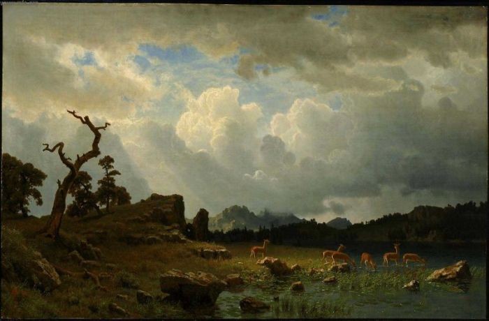 700x460 Albert Bierstadt Thunderstorm In The Rocky Mountains Painting - The Rocky Mountains Painting