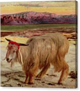 163x186 The Scapegoat Painting By William Holman Hunt - The Scapegoat Painting