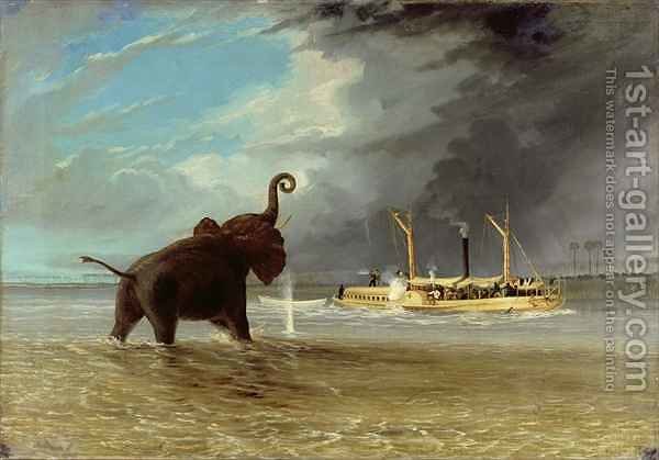 600x419 Ma Robert' And Elephants In The Shallows Of The Shire River Thomas - The Shire Painting