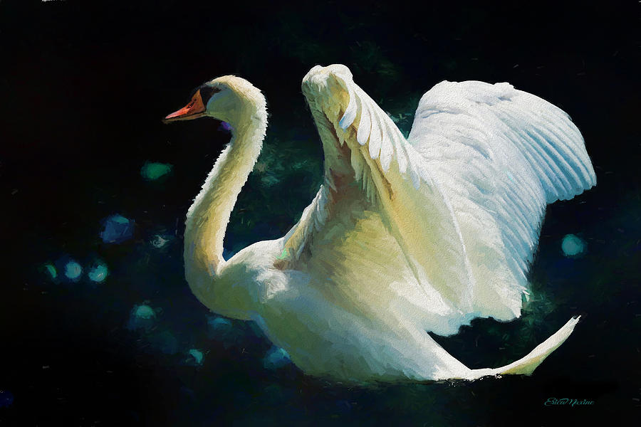 900x600 The Swan - The Swan Painting