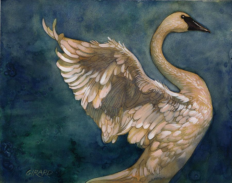 900x711 The Swan Canvas Print Canvas Art By Francois Girard - The Swan Painting