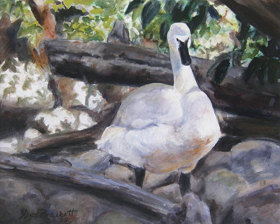 900x720 The Swan Painting By Lori Brackett - The Swan Painting