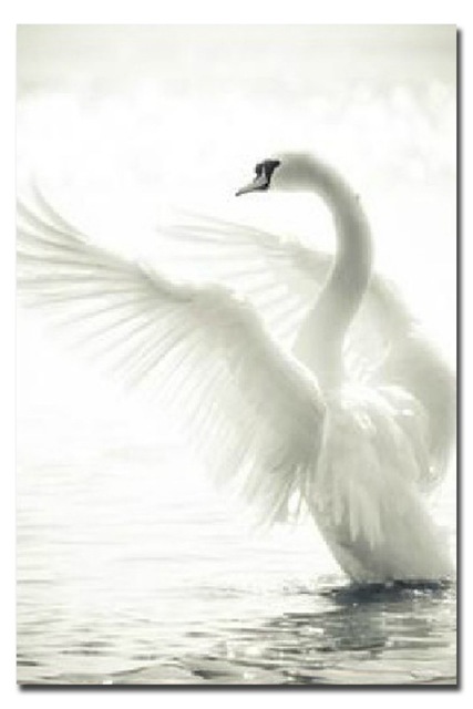 427x640 Pattern Rhinestone Diamond Embroidery Animal The Wings Of The Swan - The Swan Painting
