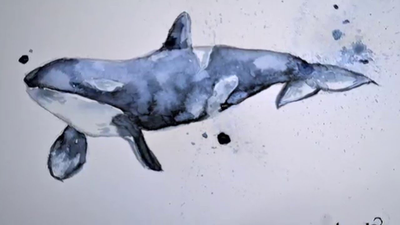 1280x720 Painting A Whale With Watercolor - The Whale Painting