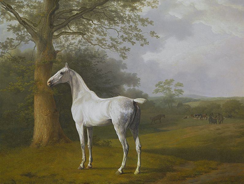796x600 So Idk If Anyone Already Mentioned This, But I Think The Bf1 - The White Horse Painting