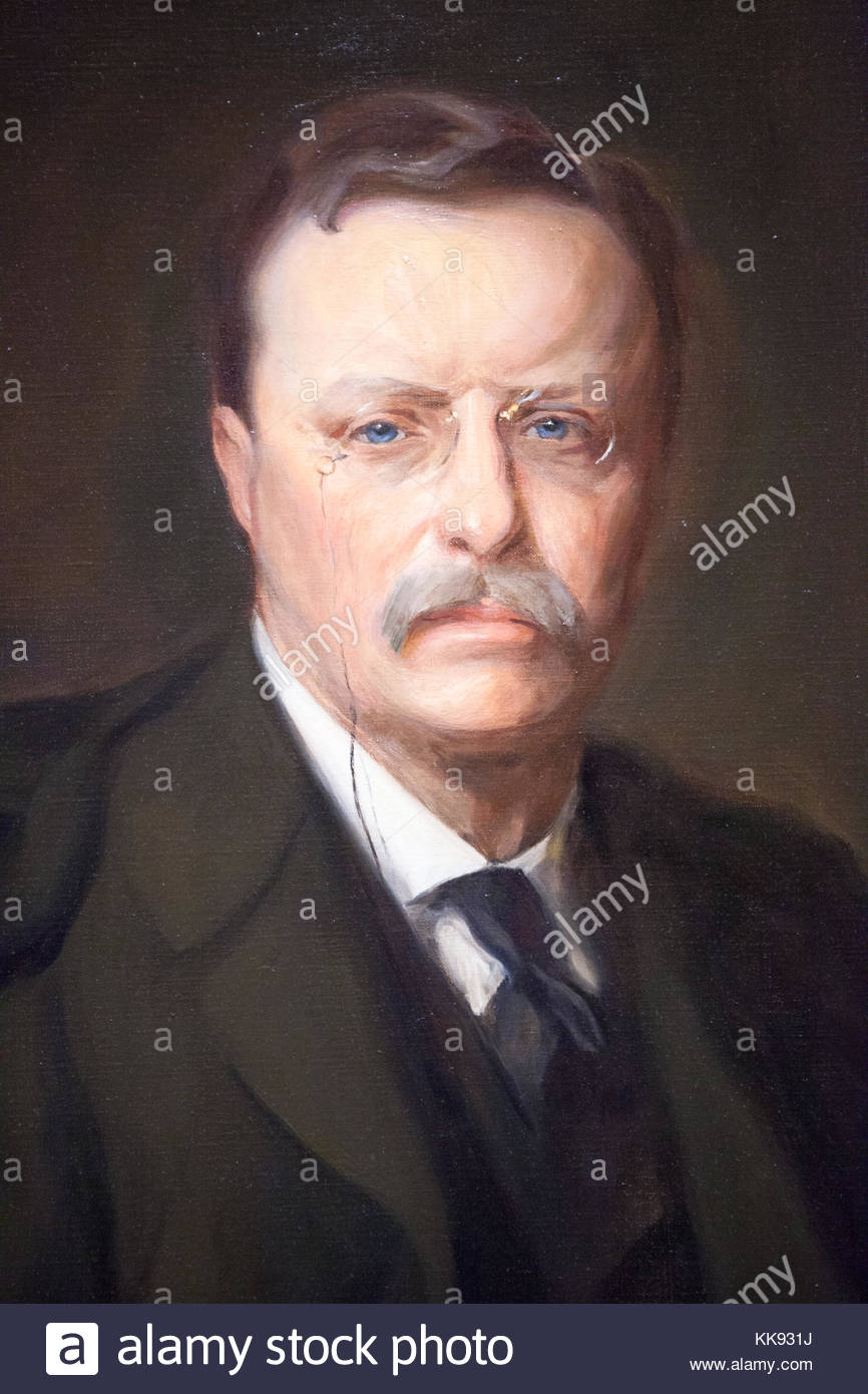 866x1390 Oil Painting Of President Theodore Roosevelt, United States, By - Theodore Roosevelt Painting