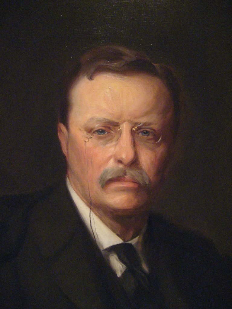 Theodore Roosevelt Portrait