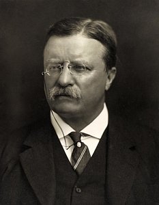 Theodore Roosevelt Painting at PaintingValley.com | Explore collection ...