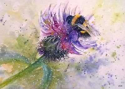 400x285 Original Watercolour Wildlifeflowerart Painting Bumble Bee - Thistle Painting