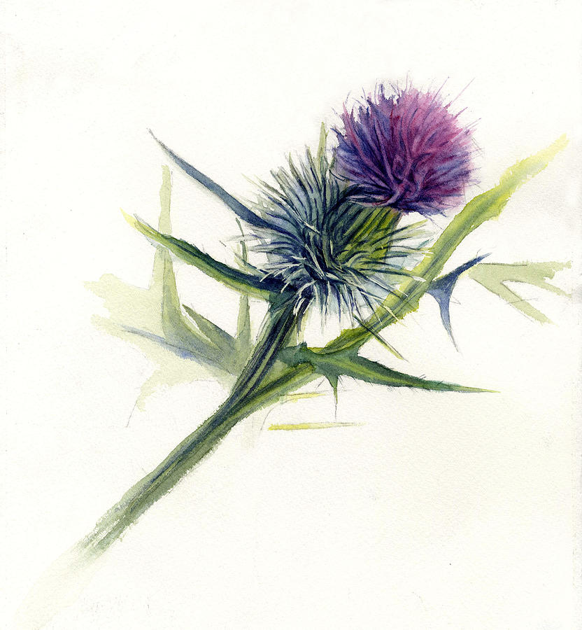 832x900 Purple Thistle Painting By Leslie Redhead - Thistle Painting