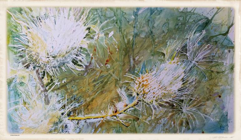 770x448 Saatchi Art Thistle Painting By Volker Straube - Thistle Painting
