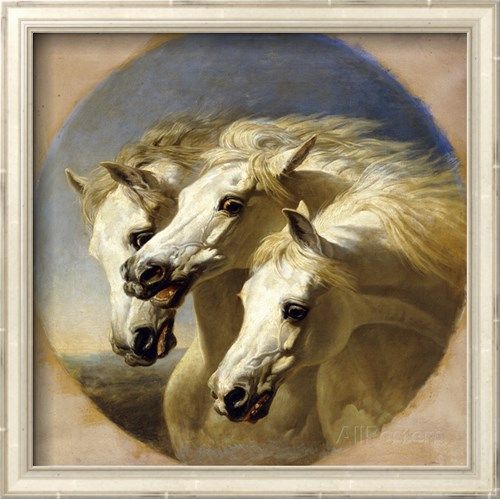 500x499 Pharaoh's Horses Posters By John Frederick Herring I - Three Horses Painting