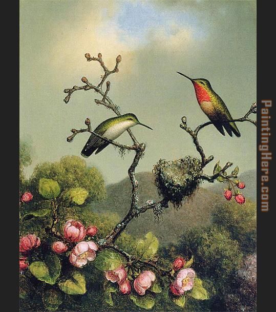 539x609 Martin Johnson Heade Ruby Throat Of North America Painting Anysize - Throat Painting