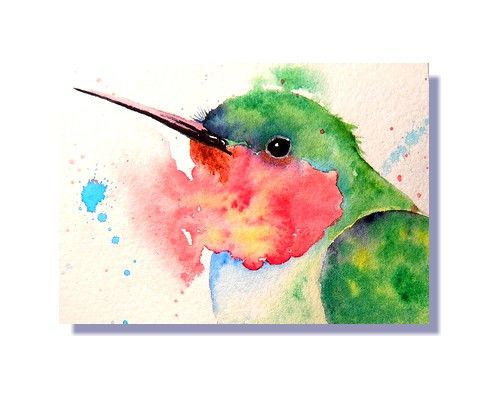 500x400 Original Aceo Ruby Throat Hummingbird Backyard Bird Watercolor - Throat Painting