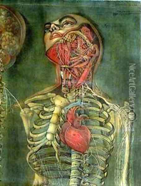 455x600 Throat And Heart Plate From Anatomy Of The Visceras Dissected Oil - Throat Painting