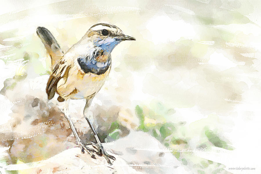 900x600 Blue Throat Painting By Kolor Palette - Throat Painting