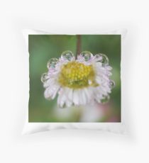 210x230 Tiara Painting Amp Mixed Media Gifts Amp Merchandise Redbubble - Tiara Painting