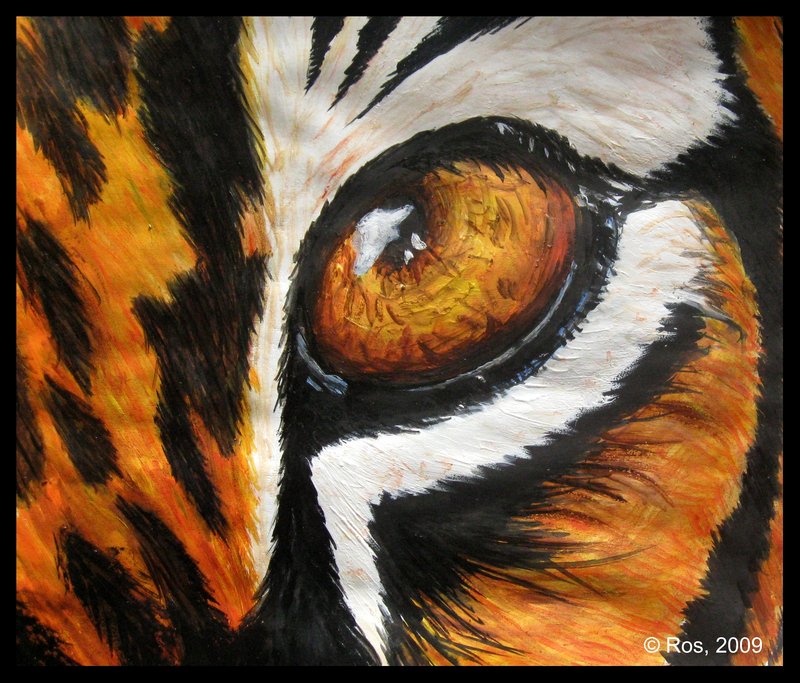 800x683 Tiger's Eye By Roshila - Tiger Eye Painting