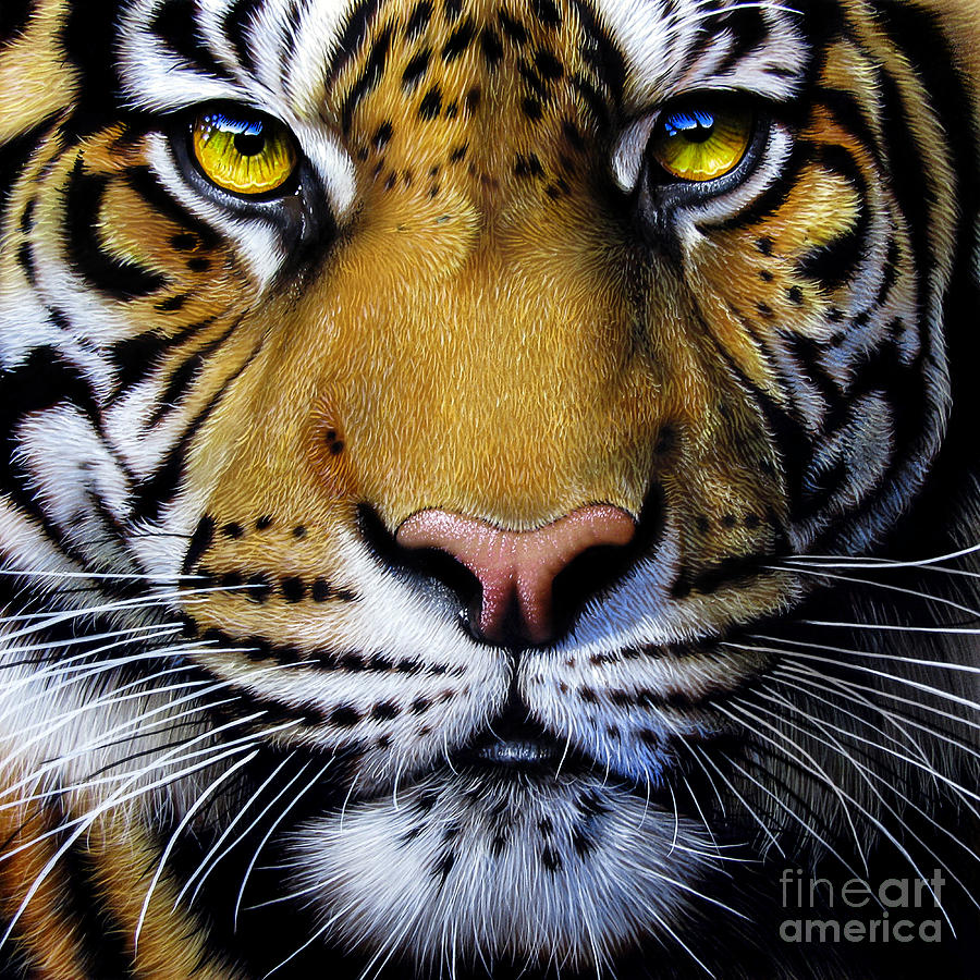 900x900 Tiger Eye Paintings Fine Art America - Tiger Eye Painting