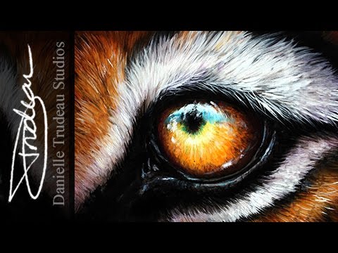 480x360 Tiger Eye Tutorial - Tiger Eye Painting