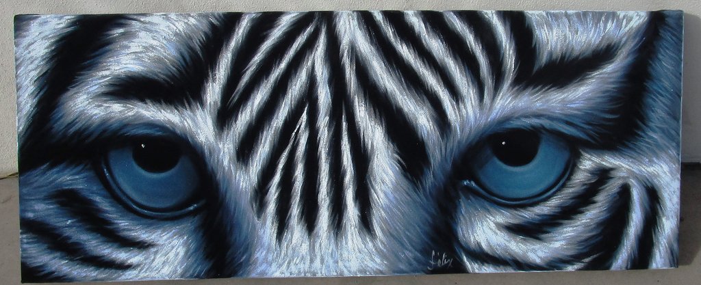 1024x417 Tiger Eyes, White Tiger Eyes Original Oil Painting On Black Velvet - Tiger Eye Painting