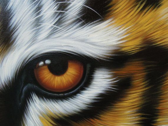 570x427 Tiger Eye Painting Oil Painting On Canvas 24x56 - Tiger Eye Painting