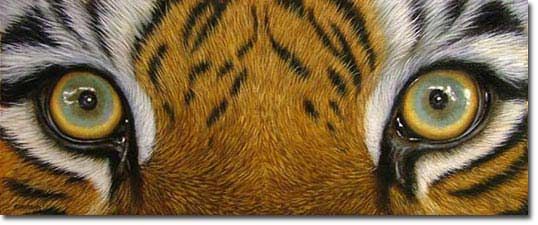 538x225 Tutorial On Painting Tiger Eyes! Awesome! Painting With Oil - Tiger Eye Painting