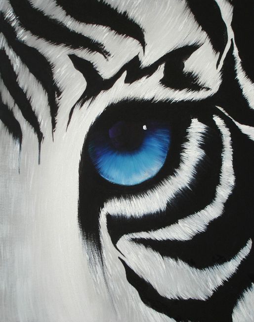 514x650 White Tiger Eye Painting - Tiger Eye Painting
