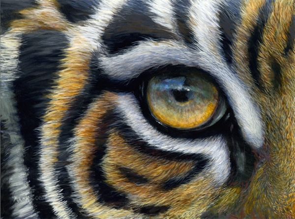 600x446 Tiger Eye Painting Archives - Tiger Eye Painting