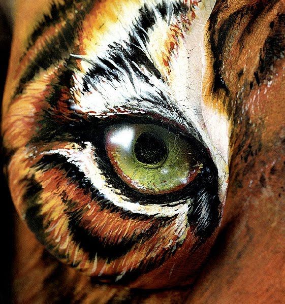 561x599 Tiger Eyes - Tiger Eye Painting