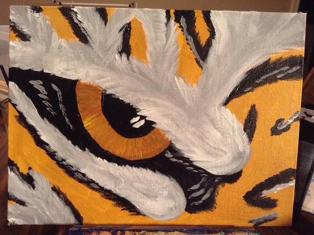 640x478 How To Paint A Tiger Eye - Tiger Eye Painting